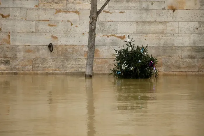 Framed Print : A Christmas tree next to a tree is seen on the flooded banks of the River Seine in Paris Framed Print : A Christmas tree next to a tree is seen on the flooded banks of the River Seine in Paris