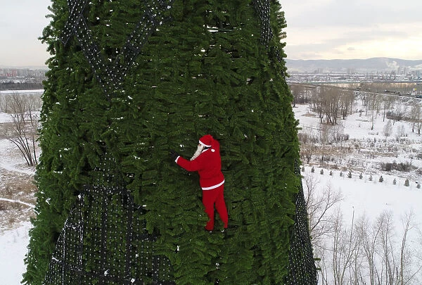 A climber dressed as Santa Claus decorates a Christmas tree in Krasnoyarsk