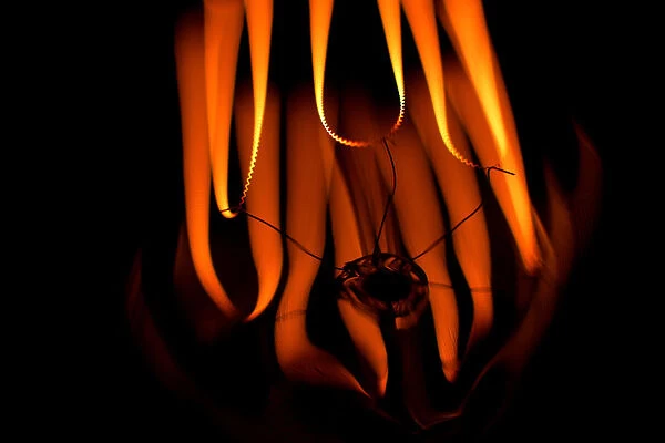 Coils of an incandescent light bulb are pictured in Pasadena