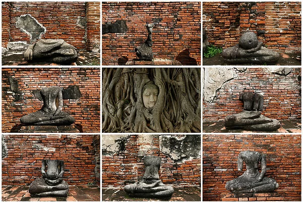 A combination picture shows a Buddha head entwined within the roots of a tree (C