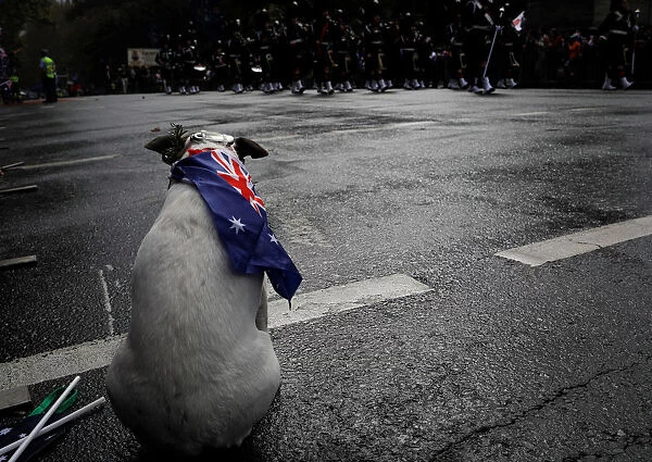 A contingent marches past a dog during an Anzac Day parade in Sydney