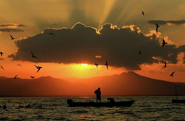 Costa Rica fishermen return with their catch as seagulls fly around their boat during