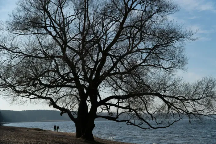 Framed Print : Couple enjoy a sunny autumn day at a lake on the outskirts of Minsk Framed Print : Couple enjoy a sunny autumn day at a lake on the outskirts of Minsk