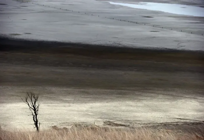 Framed Print : A dead tree stands in front of shallow water and a dried-up area of Lake George Framed Print : A dead tree stands in front of shallow water and a dried-up area of Lake George