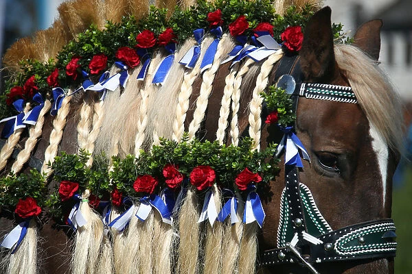 A decorated horse attends the traditional Georgi horse riding procession on Easter Monday
