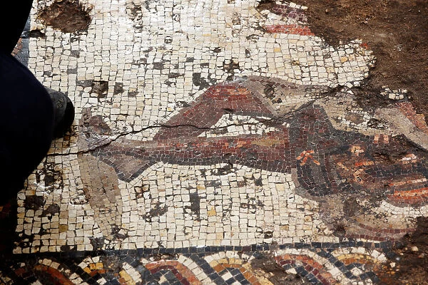 A decoration of a figure is seen on a mosaic floor which archaeologists say is 1