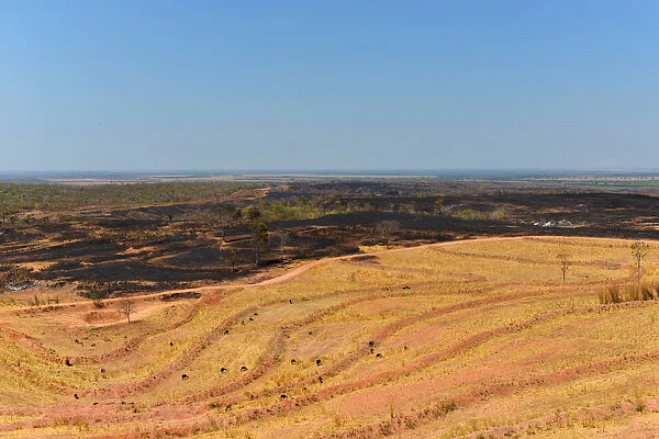 A deforested and burnt area is seen in an indigenous area used as a cattle pasture in