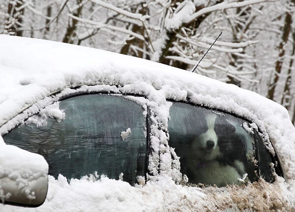 A dog is seen in a snow covered car in Budapest