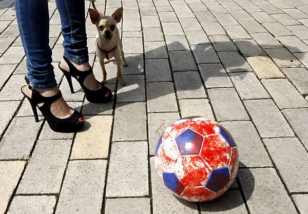 Dog stands next to owner and soccer ball during demonstration for the rights of stray