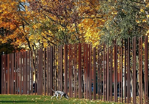 A dog strolls beside metal rods that delineate the line along which the Berlin Wall used