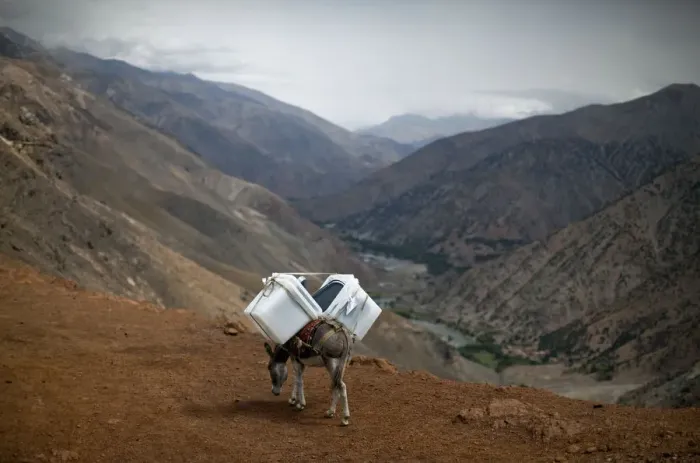 Framed Print : A donkey transports ballot boxes to villages unreachable by vehicles in Panjshir province