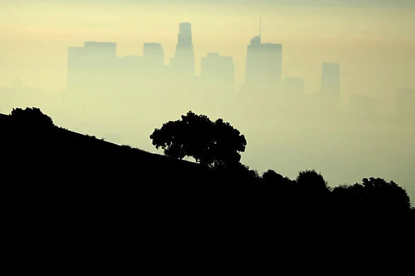 Downtown Los Angeles is seen through the morning marine layer in Los Angeles
