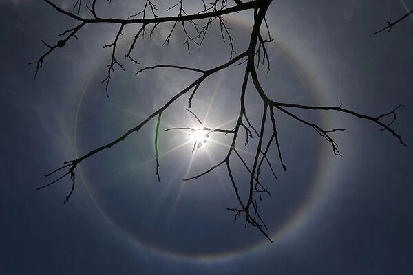 Dry tree branches are seen under a solar halo in front of Alvorada Palace in Brasilia