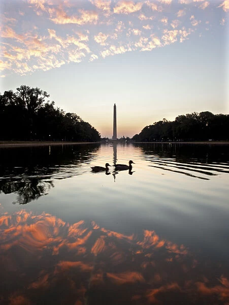 Ducks swim past as the sun starts to rise over the Reflecting Pool in front of the