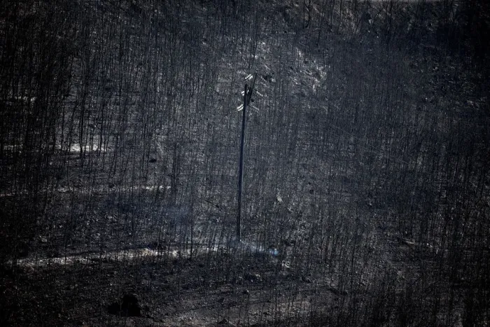 Framed Print : An electricity pole stands among burnt trees following a wildfire in Neos Voutzas Framed Print : An electricity pole stands among burnt trees following a wildfire in Neos Voutzas