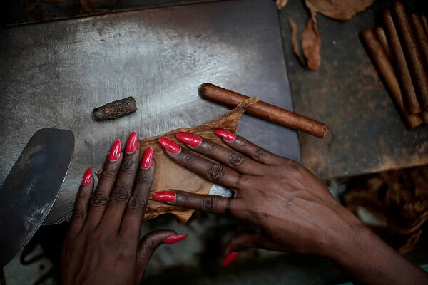 An employee rolls tobacco at the Corona tobacco factory in Havana