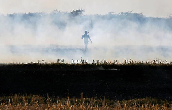A farmer burns paddy waste stubble in a field on the outskirts of Ahmedabad