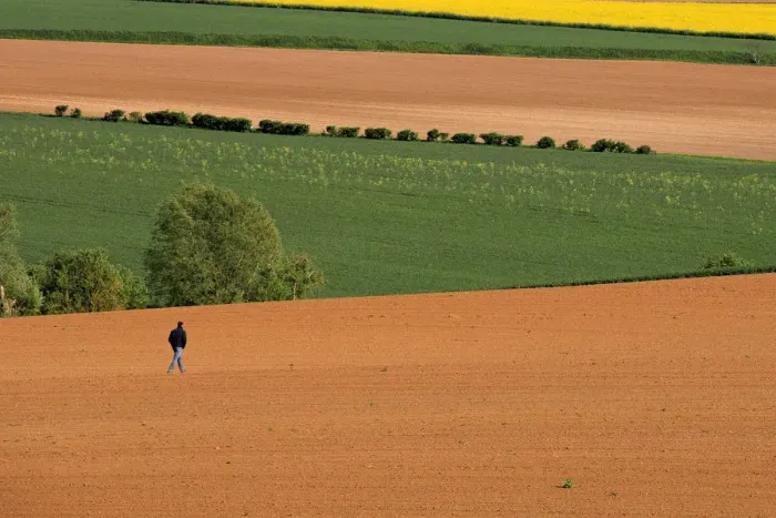 Framed Print : A farmer walks in his field in Avesnes-les-Aubert near Cambrai Framed Print : A farmer walks in his field in Avesnes-les-Aubert near Cambrai