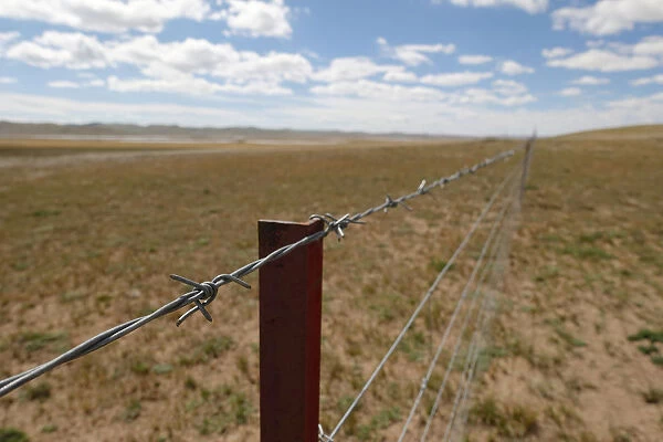 Fences stretch for kilometres near the headwaters of the Yellow River in Madoi