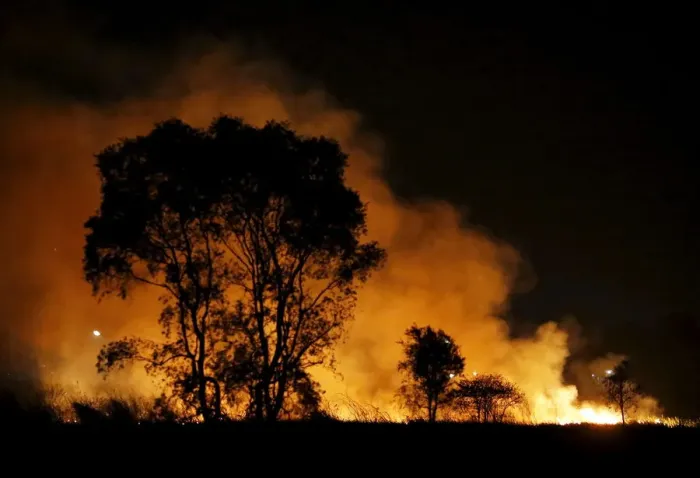 Framed Print : Fire burns near trees in a peatland area on the outskirts of Palembang on Indonesia s Framed Print : Fire burns near trees in a peatland area on the outskirts of Palembang on Indonesia s