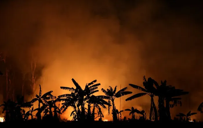 Framed Print : A fire burns a tract of Amazon jungle near Porto Velho Framed Print : A fire burns a tract of Amazon jungle near Porto Velho
