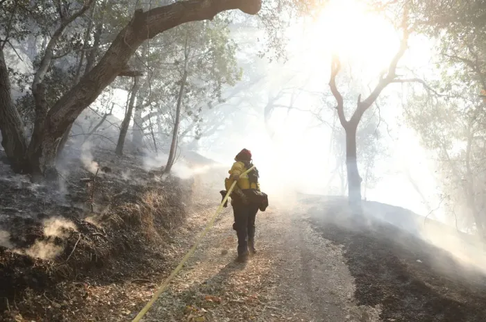 Framed Print : Firefighters work to control a wildfire in Sonoma, California Framed Print : Firefighters work to control a wildfire in Sonoma, California