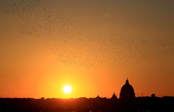 A flock of starlings fills the sunset over Rome