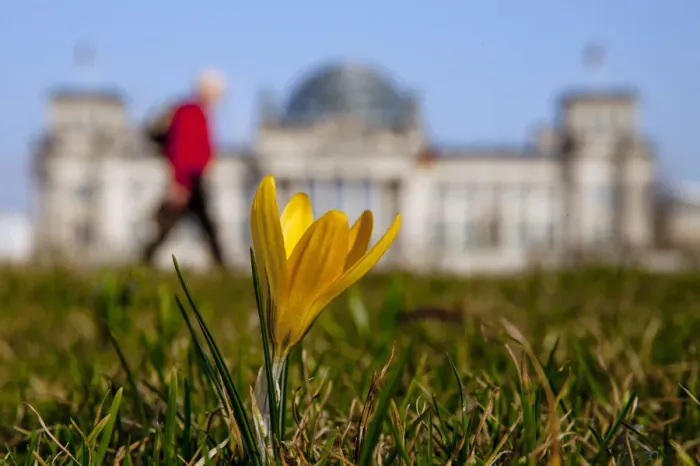 Framed Print : A flower blossoms near Reichstag on sunny spring day in Berlin Framed Print : A flower blossoms near Reichstag on sunny spring day in Berlin