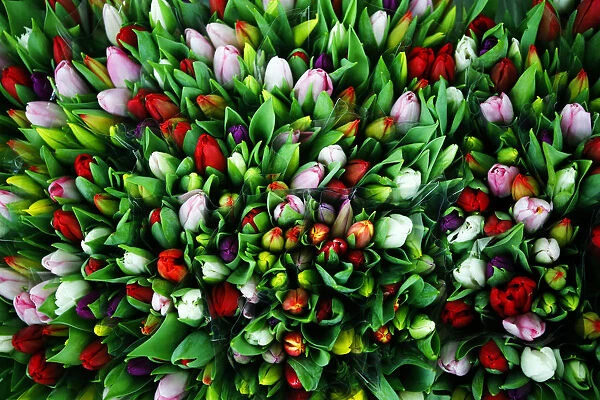 Flowers are on display for sale ahead of the Valentines Day at a flower market in Vienna