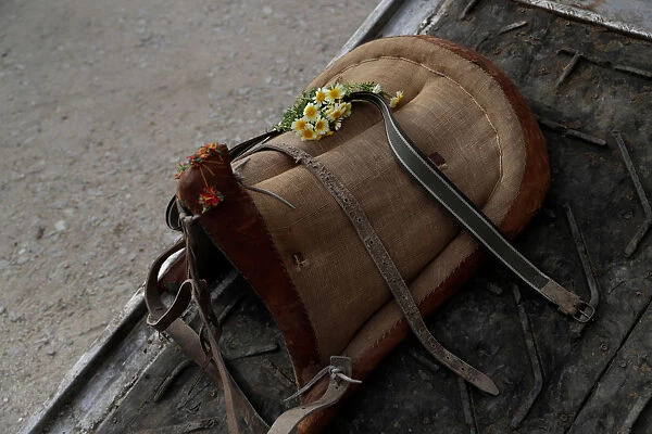 Flowers are seen on a saddle of a donkey before the procession of the Virgem da Atalaia