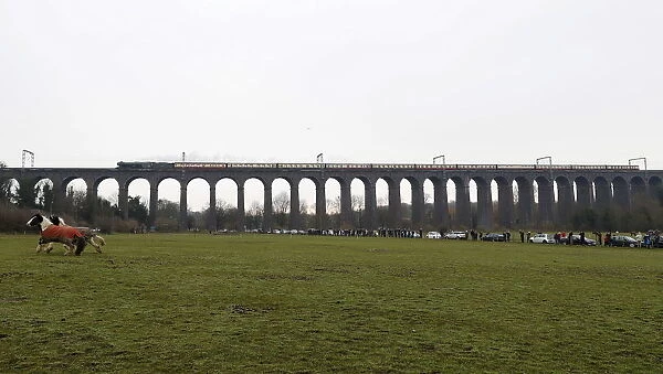 The Flying Scotsman steam engine passes over Digswell Viaduct as it makes its official