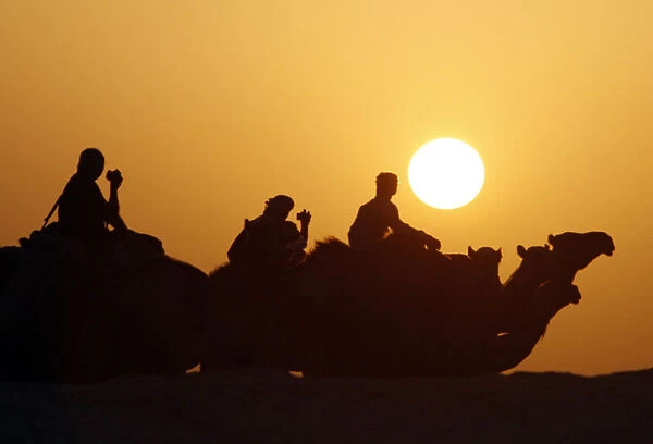 Foreign tourists ride camels near Dakhla oasis in Egypts Western Desert, some 900