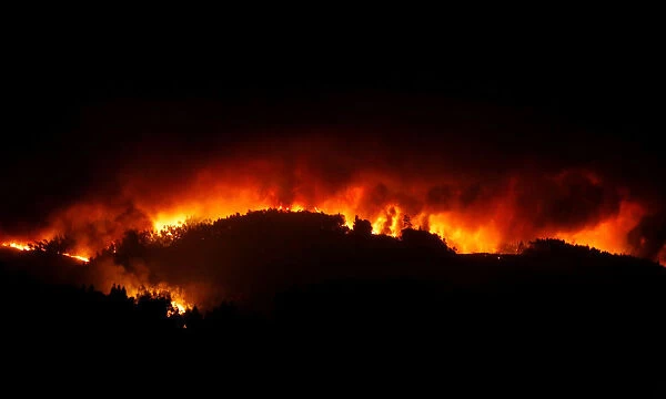 A forest fire is seen near Pedrogao Grande in central Portugal