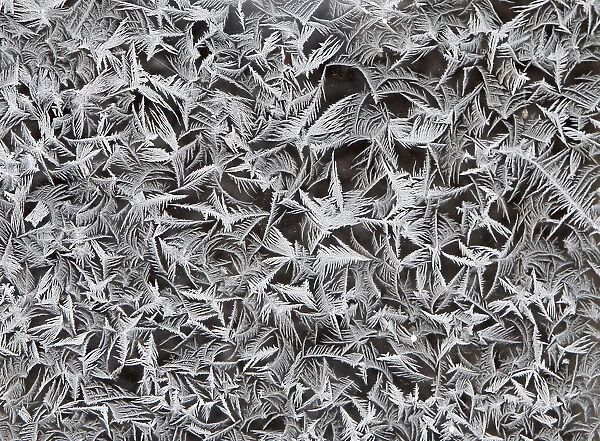 Frost is seen on a window during a freezing day in Smila