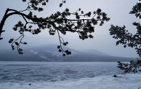 Frozen White Sea is seen outside the town of Kandalaksha in Murmansk region