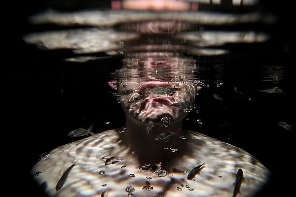 Garra rufa obtusas, also known as doctor fish, swim around the face of a man as he