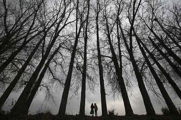 Girls walk beneath a row of parched tress on a winter day in the outskirts of Jammu