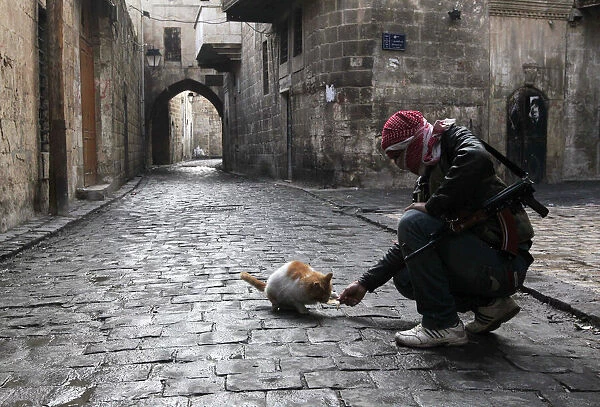 GM1E9170BAK01. A Free Syrian Army fighter feeds a cat in the old city of Aleppo January 6