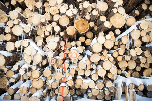 Green softwood lumber is stacked at Groupe Crete, a sawmill in Chertsey, Quebec