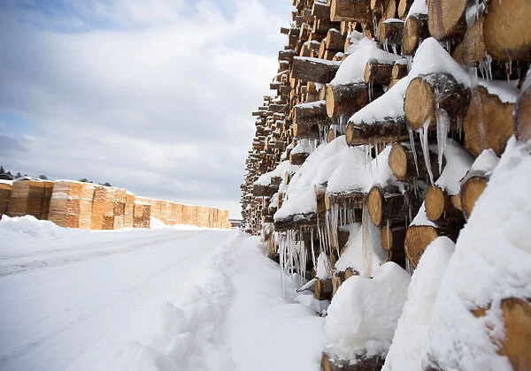 Green softwood lumber is stacked at Groupe Crete, a sawmill in Chertsey, Quebec