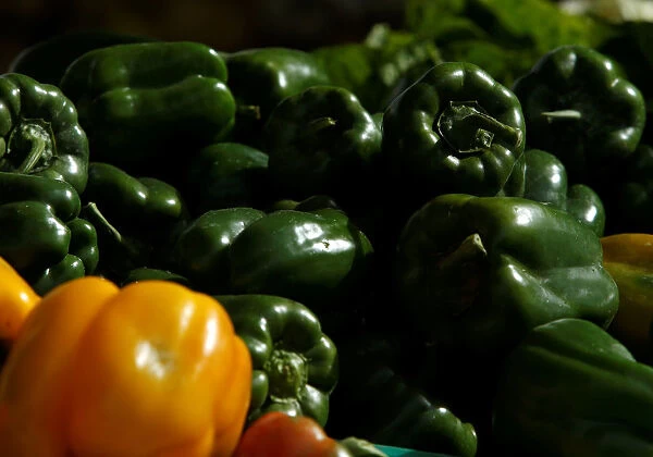 Green and yellow peppers are displayed on a vendors stand at the Farmers Market in Ta