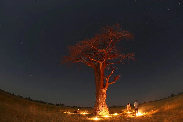 Guests stand beneath a Baobab tree illuminated by fire in the Okavango Delta