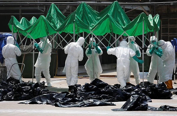 Health officers set up a marquee as they cull poultry at a wholesale market in Hong Kong