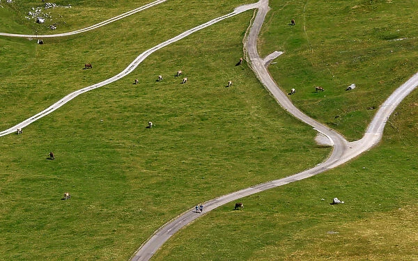 Hikers walk past cows on Schwaegalp near the north-eastern Swiss landmark Mount Saentis