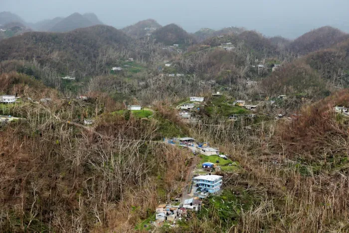 Framed Print : Homes damaged by Hurricane Maria stand amid thousands of trees that have been exfoliated
