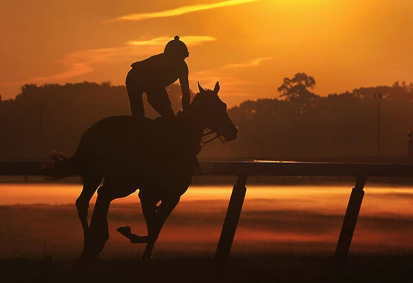 A horse and its rider are seen in silhouette during early morning workouts at Belmont