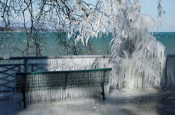 Ice is pictured on a barrier and a tree during a windy winter day near Lake Leman in