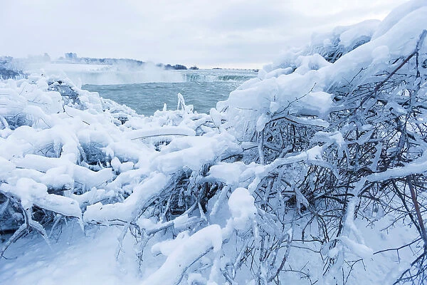 Ice and snow cover branches near the brink of the Horseshoe Falls in Niagara Falls