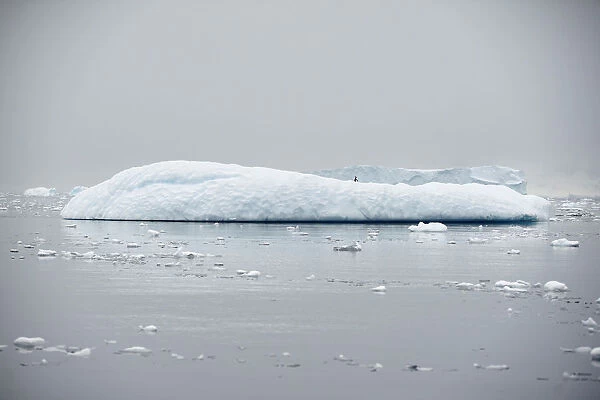 An iceberg floats in Andvord Bay, Antarctica