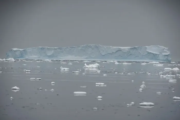 Framed Print : An iceberg floats in Andvord Bay, Antarctica